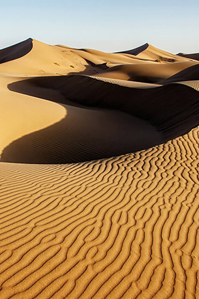 The Experience – Desert Adventure and Local Culture