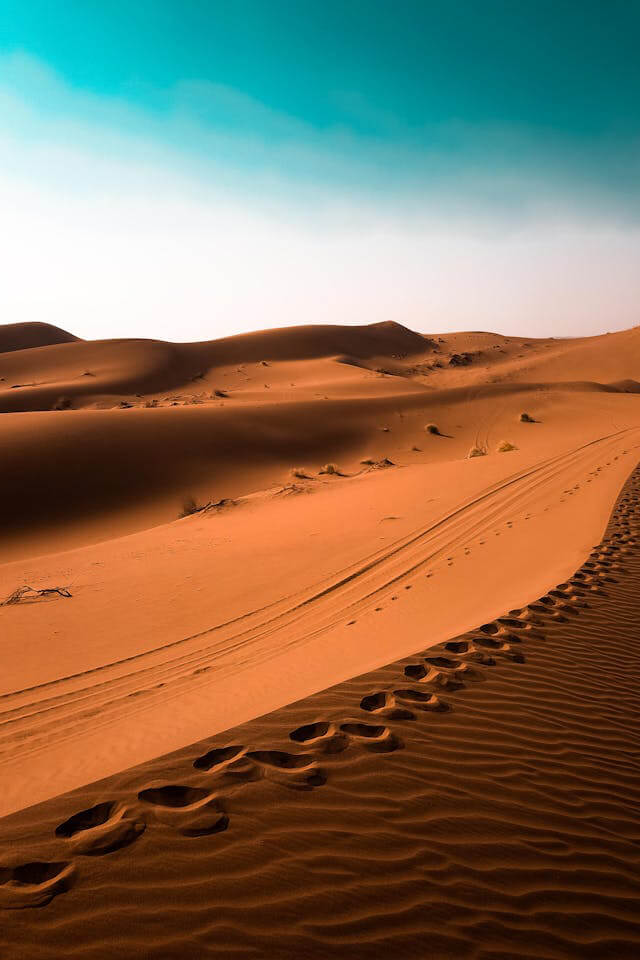 Day 6: Lut Desert – Full Desert Experience