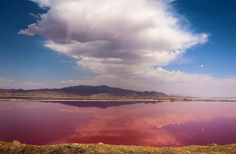 Compassimo-Red tide in Maharloo Lake-a seasonal salt lake-Shiraz-Iran